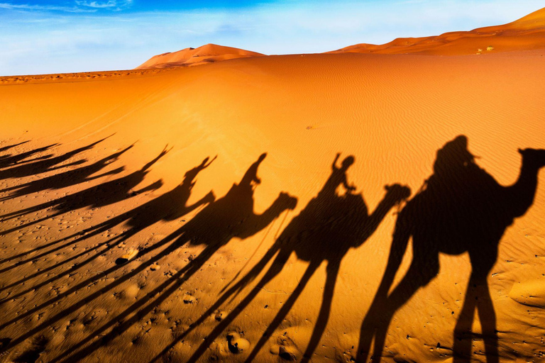 From Fes: 3-Day Merzouga Desert Tour to Marrakech Standard Desert Camp Experience (Shared Facilities)