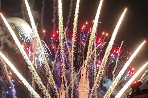 Shanghai Disneyland Private Transfer with Tickets