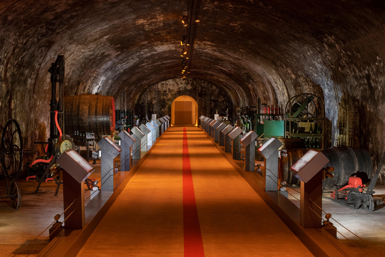 From Reims: Full day Mumm, family growers with lunch