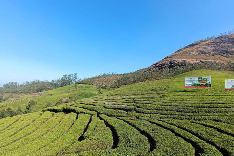 Cochin - Munnar Day Trip with Waterfalls and Tea Museum