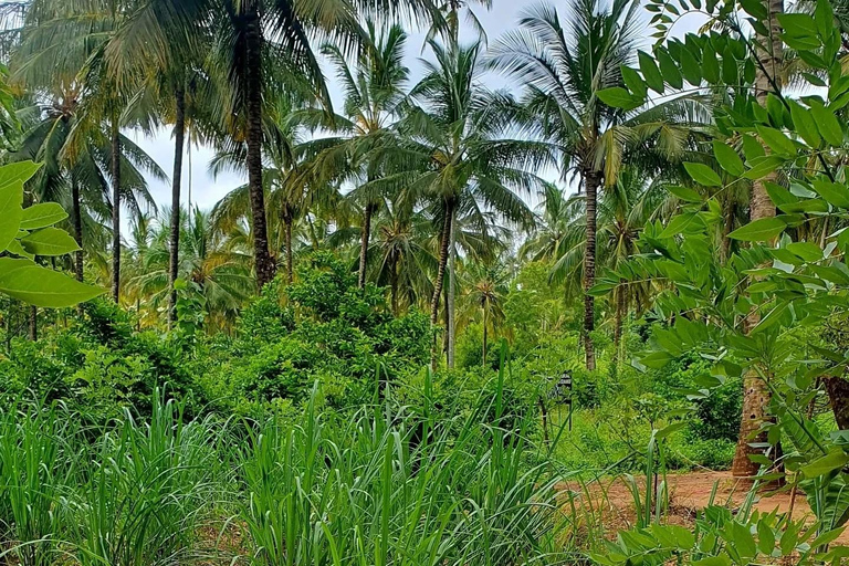 Zanzibar : Stone Town, visite des épices et de l'île prison avec déjeunerVisite privée