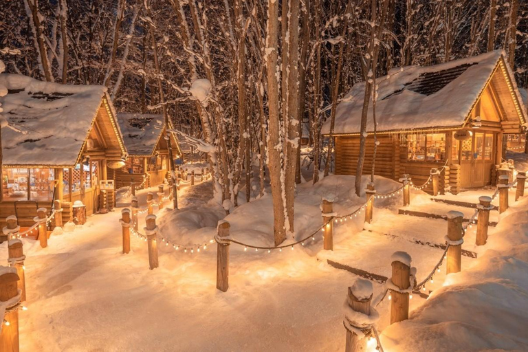 Asahiyama Zoo, Biei, and Ningle Terrace Night View Tour