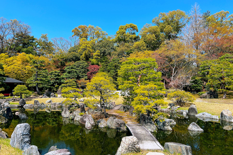 Kyoto: Nijo-jo Castle Samurai & Shogun Private In-Depth Tour Route 1: Essential In-Depth Experience (1 hour)