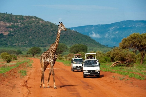 5 days safari to Tsavo East, West & Amboseli from Mombasa Safari with a 4x4 Landcruiser