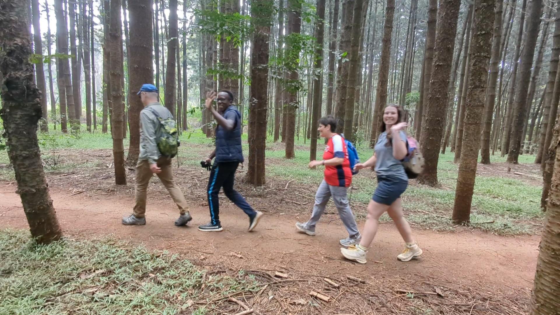 Karura Wald: Rundgang mit Natur und Wasserfällen.
