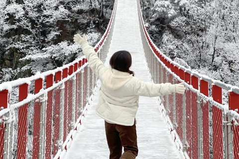 من سيول: جولة رومانسية في بلاد العجائب الشتويةجولة رومانسية في بلاد العجائب الشتوية من سيول الموسم