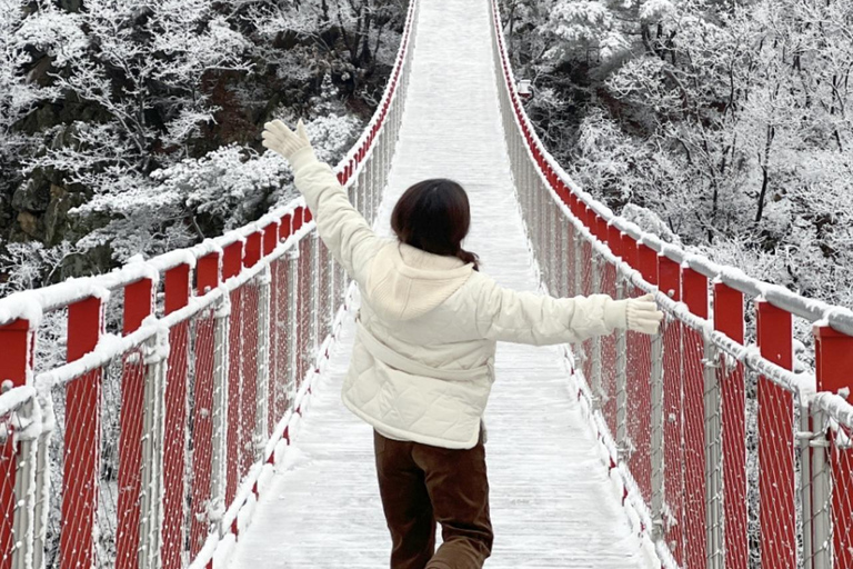 من سيول: جولة رومانسية في بلاد العجائب الشتويةجولة رومانسية في بلاد العجائب الشتوية من سيول الموسم