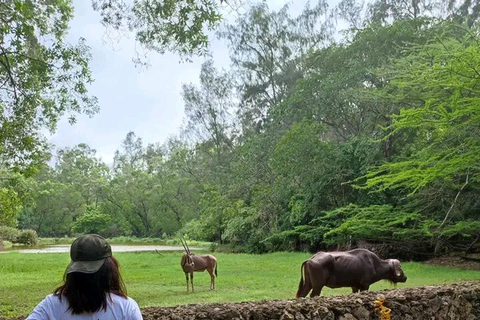 Cidade de Mombasa: Excursão em terra e tour guiado histórico.Cidade de Mombasa: Excursão em terra com degustação de comida de rua.