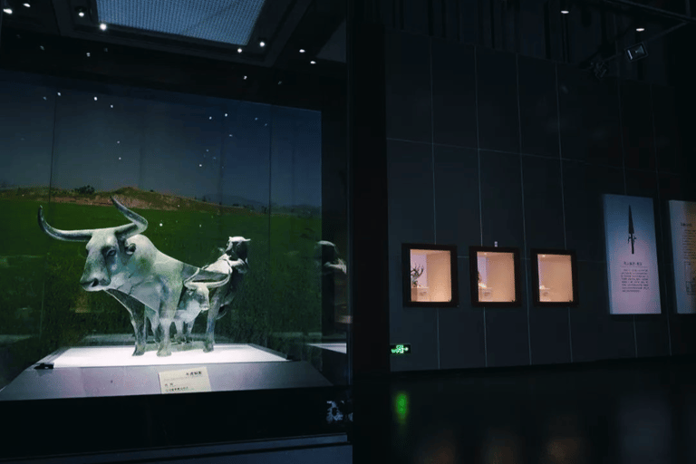 Kunming: Yunnan Provincial Museum Entry Reservation