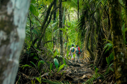 Corcovado National Park: Sirena Station Overnight - 2 Days