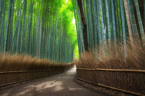From Osaka/Kyoto: Nara & Kyoto Family Adventure with Guide