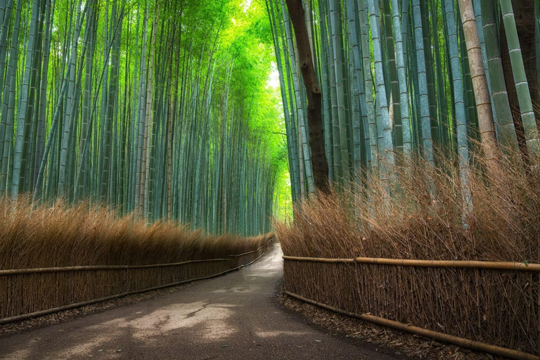 From Osaka/Kyoto: Nara & Kyoto Family Adventure with Guide