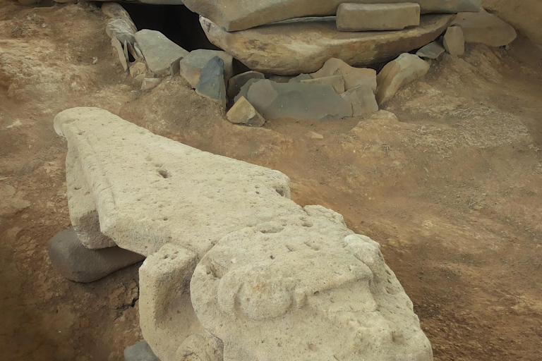 علم الآثار النقي: Tierradentro وSan Agustín (4D/3N)