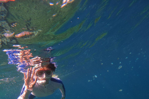 Gili Trawangan: Private 2-Hour Snorkeling Tour
