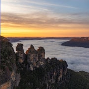 From Sydney: Blue Mountains & Scenic Wildlife Private Tour