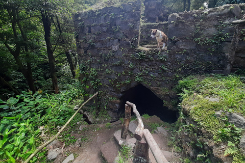 São Miguel: Moinho do Felix-Wanderung mit Besuch der Teefabrik