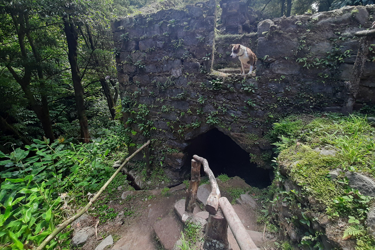 São Miguel: Moinho do Felix-Wanderung mit Besuch der Teefabrik