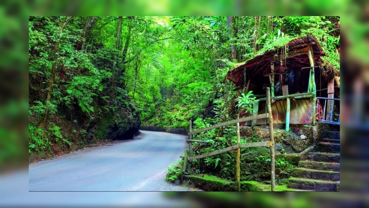 Ocho Rios: Geführte Sightseeing-Tour