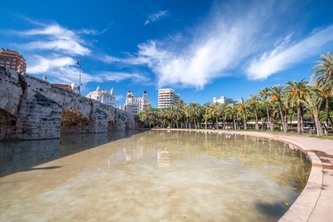 Valencia: Private geführte Stadtrundfahrt