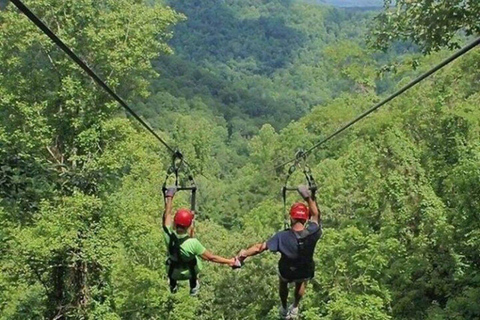 Nairobi: Kereita Forest Ziplining and Nature Walk Tour