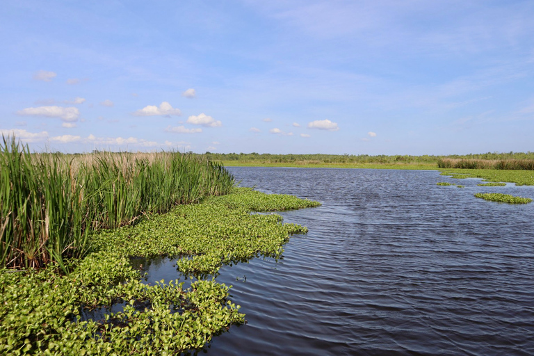 New Orleans: 10 Passenger Airboat Swamp Tour Activity without Hotel Pickup and Drop-Off