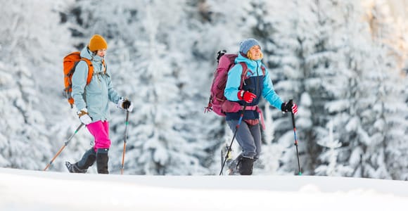 From Abisko: Arctic Trekking to a Sami Village