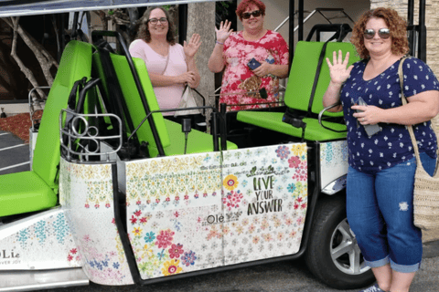 Jacksonville: Downtown City and Drinks Tuk Tuk Tour Public Downtown City and Drinks Tour