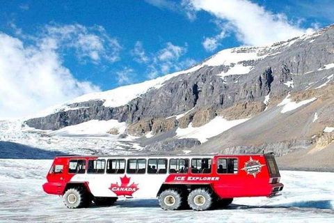 Columbia Icefield, Skywalk, Crowfoot Glacier, Stunning Lakes