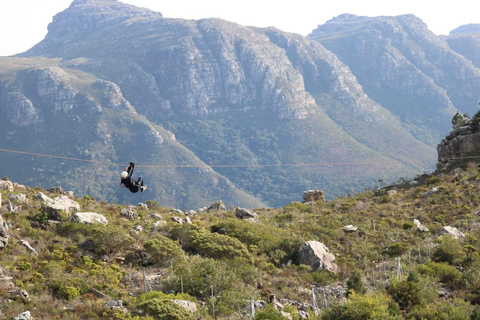 Cape Town: Zipline Adventures (Hotel Pickup &amp; Dropoff incl.)