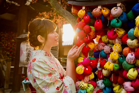 Kyoto/Nara: Must-see Spots in One Day Tour with Hotel Pickup