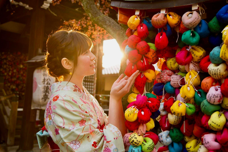 Kyoto/Nara: Must-see Spots in One Day Tour with Hotel Pickup