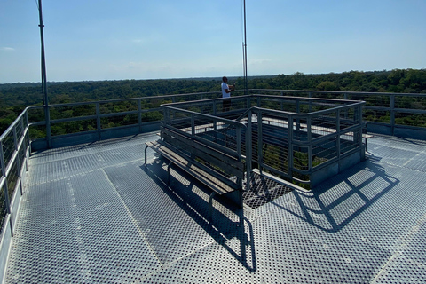 Private tour of the Amazon Museum in Manaus Private Tour at Musa (Amazon Museum) in Manaus