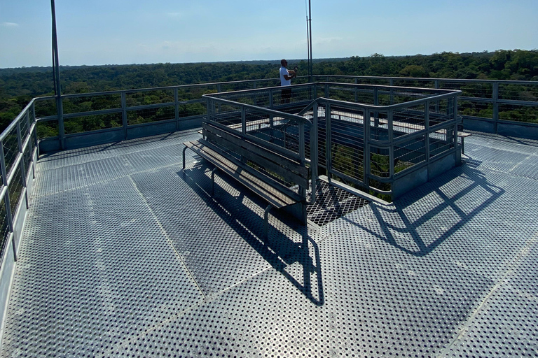 Private tour of the Amazon Museum in Manaus Private Tour at Musa (Amazon Museum) in Manaus