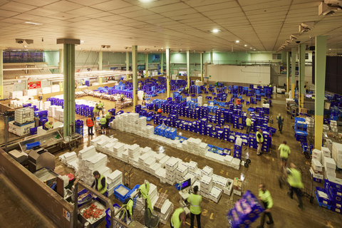 Sydney Fish Market Behind the Scenes Tour