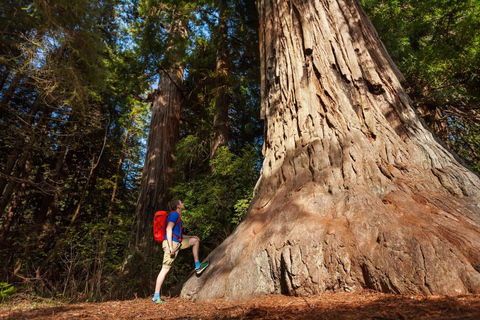 Ab San Francisco: 2-tägige geführte Yosemite-Tour mit Abholung