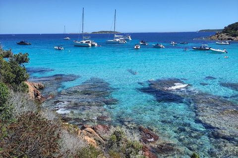 Demi-journée : après-midi détente vers les îles Lavezzi et Cavallo