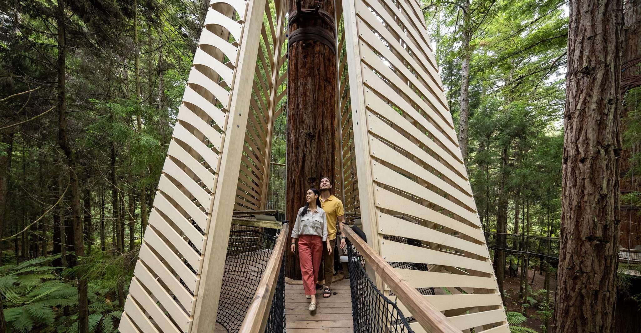 Rotorua, Redwoods Altitude & Day/Night Treewalk Combo - Hizvo