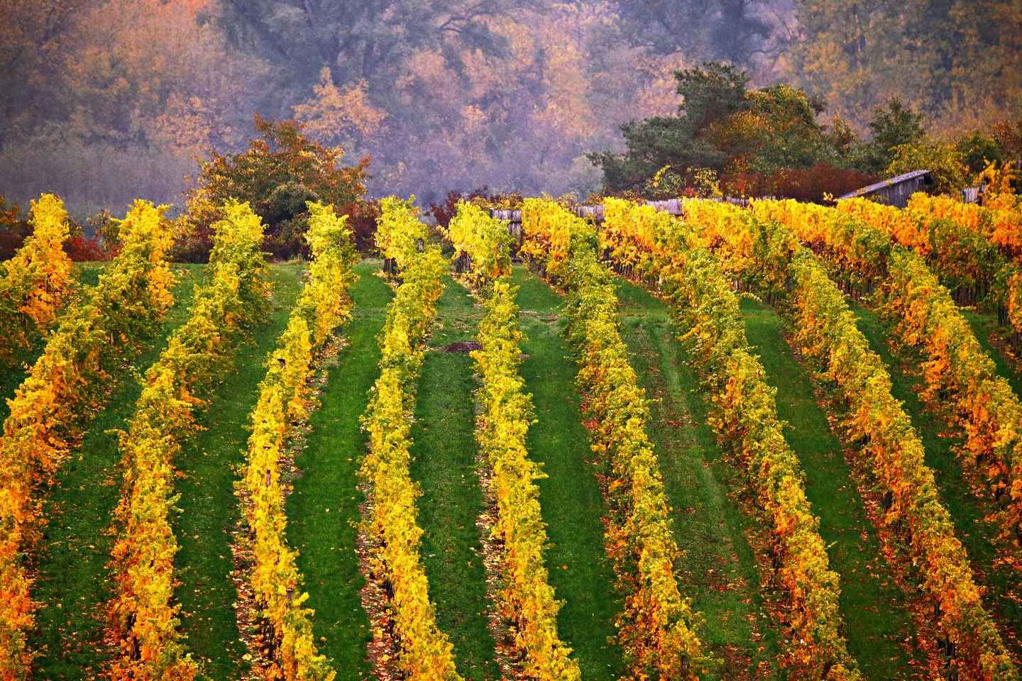 Из Вены: Чески-Крумлов — тур для небольшой группы