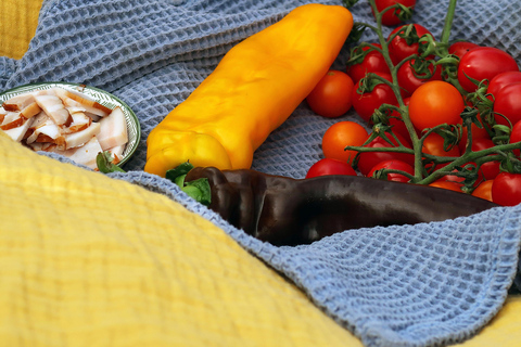 Bratislava: Vineyard Walk and Wine Picnic with Winemaker