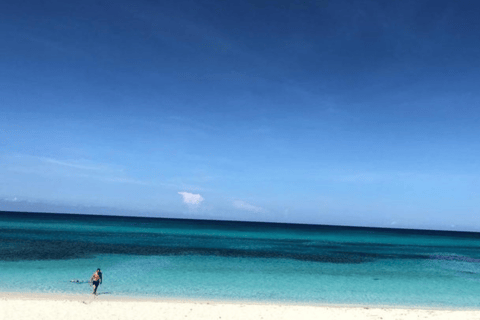 Bahía de las águilas glamping experience from Santo Domingo