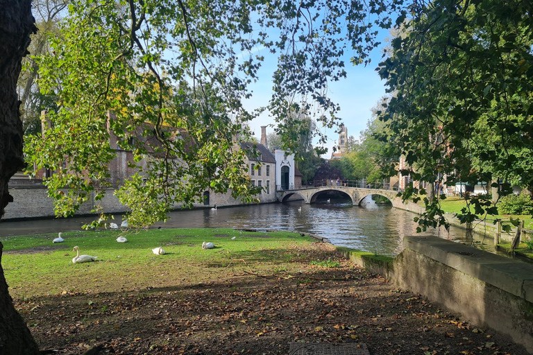 Bruges attraverso gli occhi di un gruppo locale e di piccole dimensioniBruges attraverso gli occhi di un locale, piccolo gruppo privato