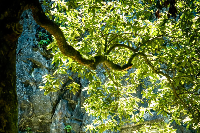 Hangzhou: Feilai Feng Scenic Tour met oude stenen beelden