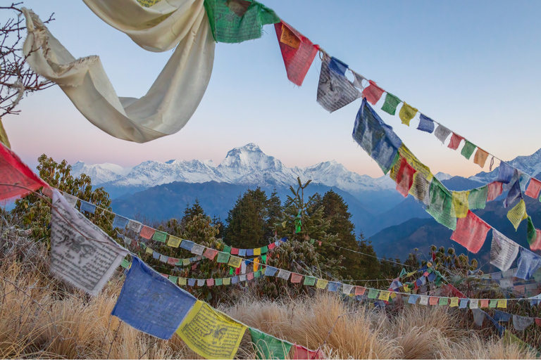 Pokhara: 2-Day Ghorepani Poon Hill Adventure Customize Meal Package