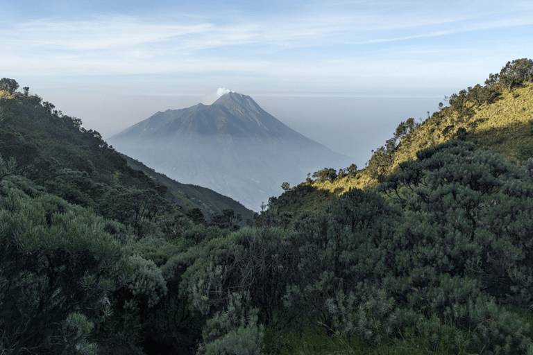 Yogyakarta: Mount Merbabu Guided Hike with Transfers Mount Merbabu Guided Camping Hike (All Inclusive)