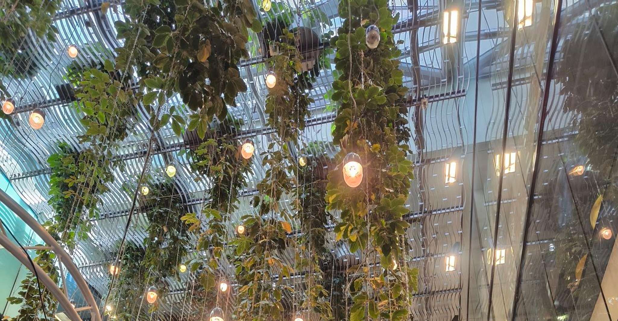 Munich: Old Town Tour with All Your Senses photo 10