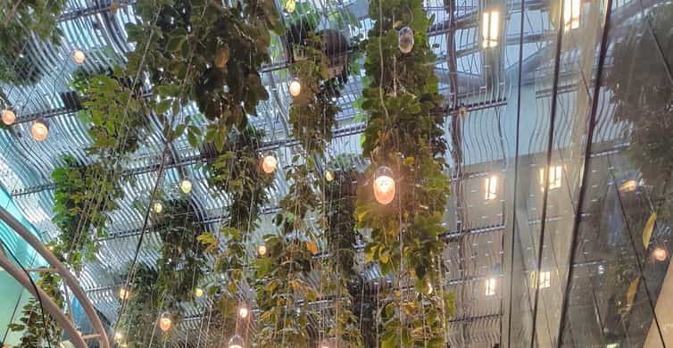 Munich: Old Town Tour with All Your Senses photo 10