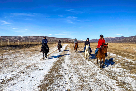2-hour horse riding tour at Palomino Ranch