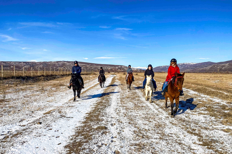 2-hour horse riding tour at Palomino Ranch