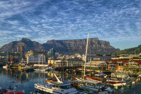 Cape Town: Private Tour with Customizable Itinerary
