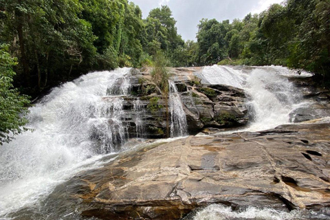 Chiang Mai: Pha Dok Siew naturled &amp; resa till Doi Inthanon